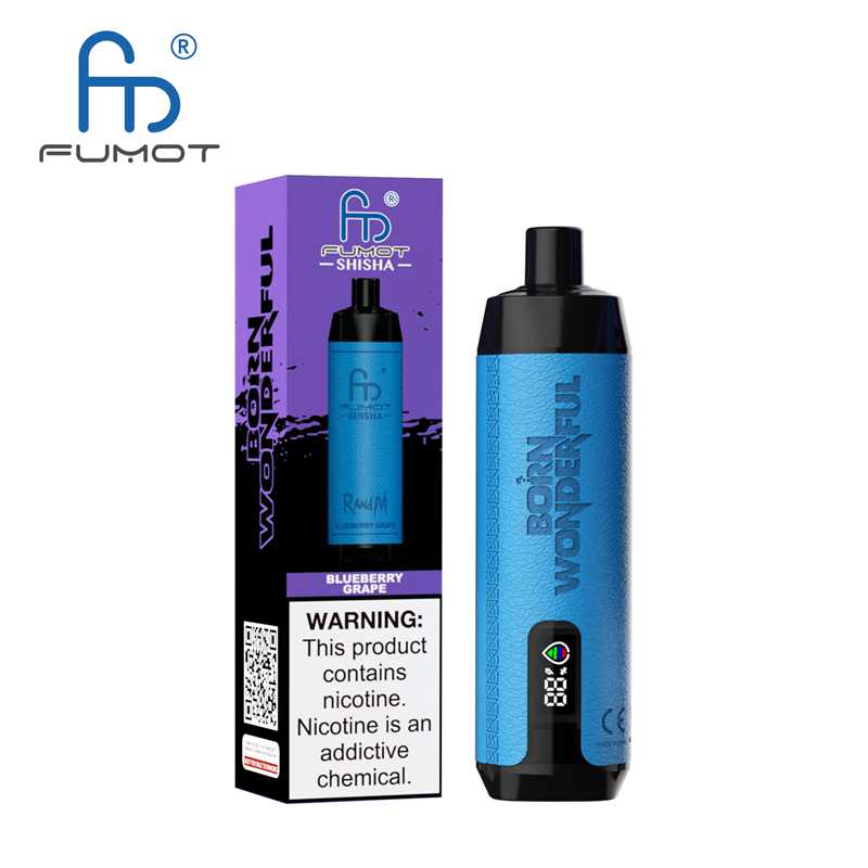 Fumot Randm Shisha 10000 Puffs Disposable Vape