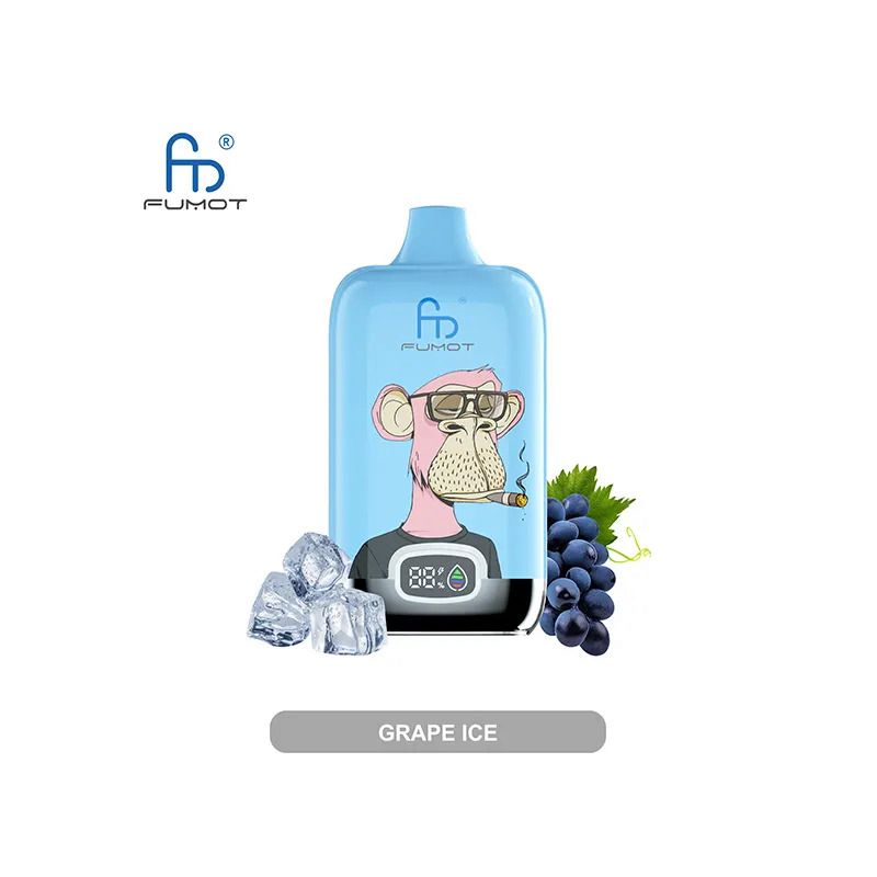 Fumot Randm Digital 12000 Puffs Disposable Vape